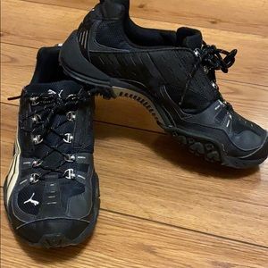 Pumas in excellent condition.